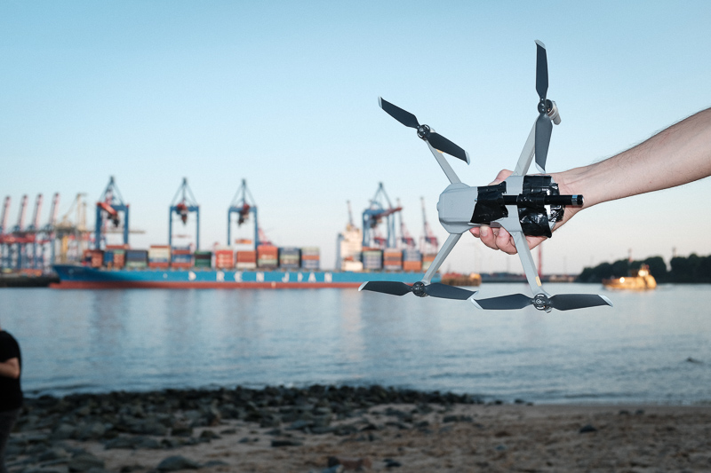 agostino-birds-bts-2